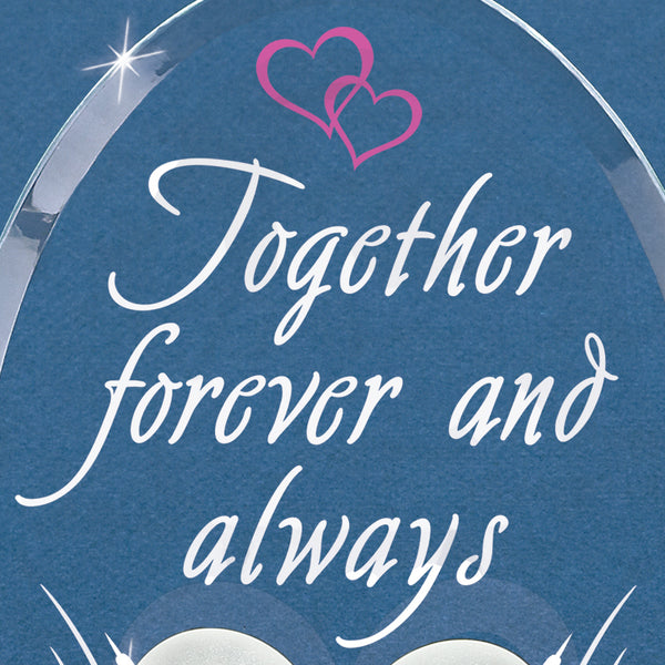 EM3 395-K: Swans "Forever and Always"