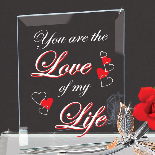 EM3 804-LMY: Love of My Life