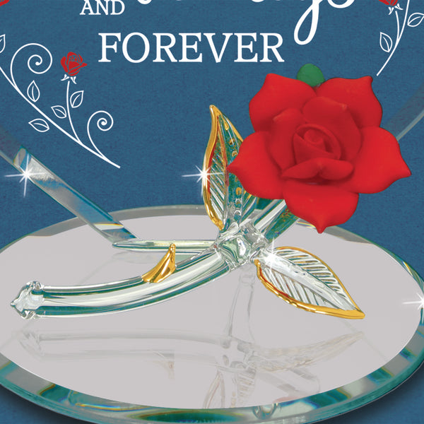 EM5 807-AF: Always and Forever Rose