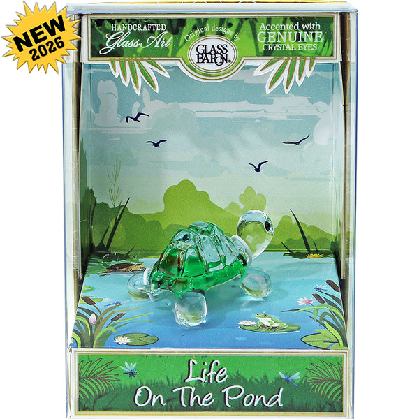 K2-S1 255-PL: Green Turtle, Life on the Pond