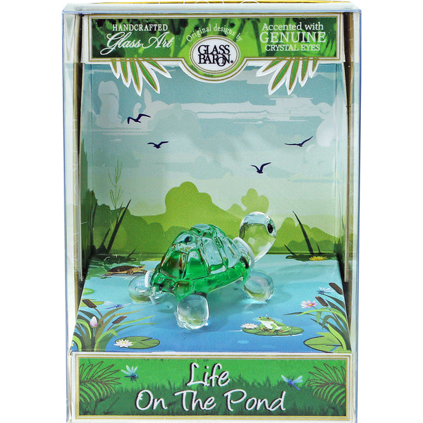 K2-S1 255-PL: Green Turtle, Life on the Pond