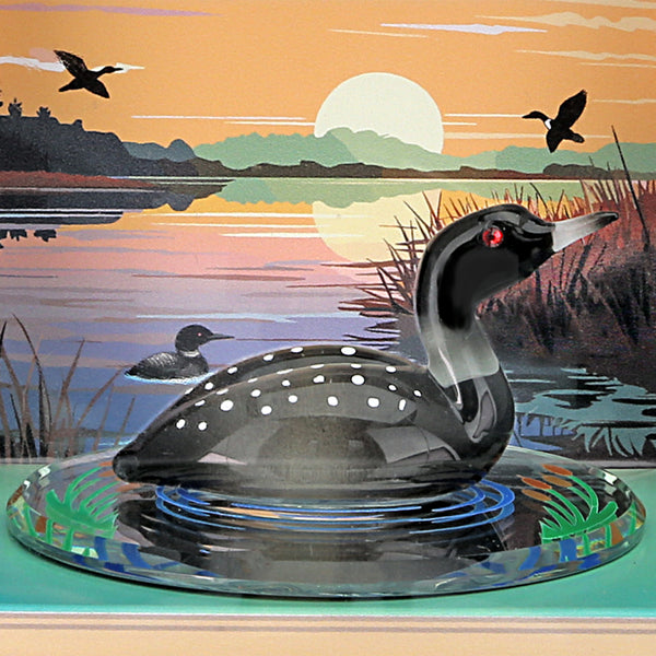 K2-S2 238-LN: Loon