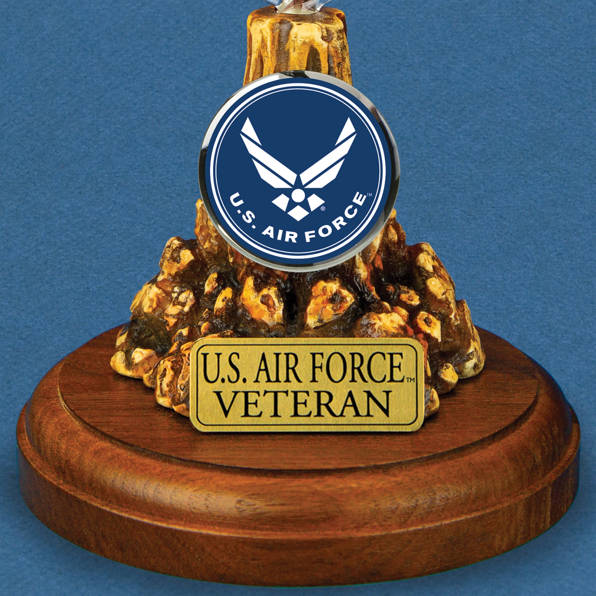 MP2F-416-4V: U.S. Air Force F-16 Jet (Veteran) – Glass Baron