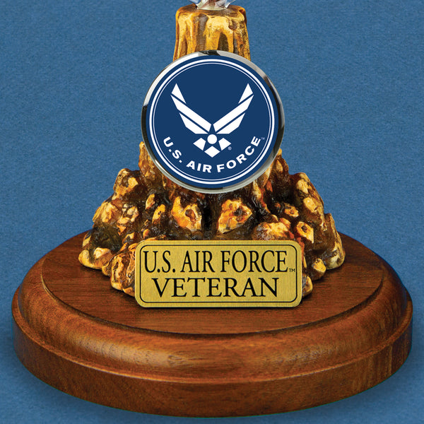 MP2F-416-4V: U.S. Air Force F-16 Jet (Veteran)