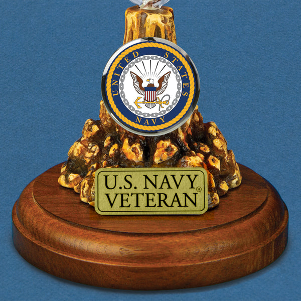 MP2N-418-7V: U.S. Navy F-18 Jet (Veteran)