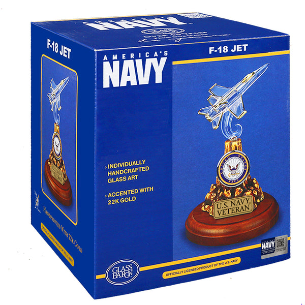 MP2N-418-7V: U.S. Navy F-18 Jet (Veteran)