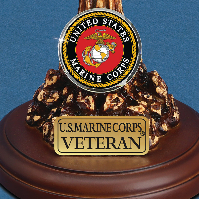 USMC アメリカ海兵隊　シンボル　ロゴ　レトロ　ラグ　カバー　172×114 MP2R-243-9V: U.S. Marine Corps Eagle, Globe and Anchor (Veteran