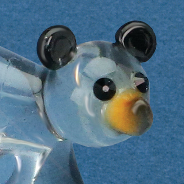 S0 147: Black Bear Cub