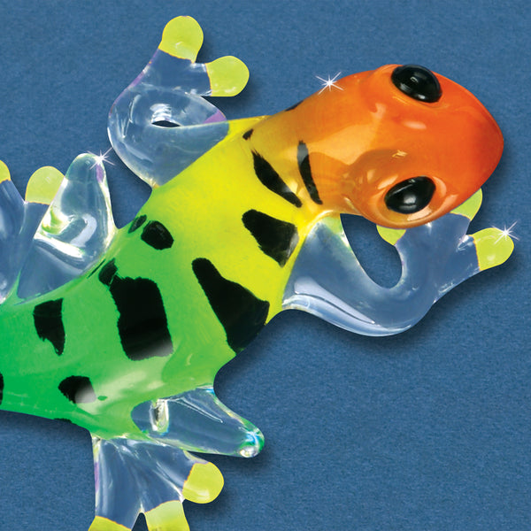 S0 202-1: Gecko
