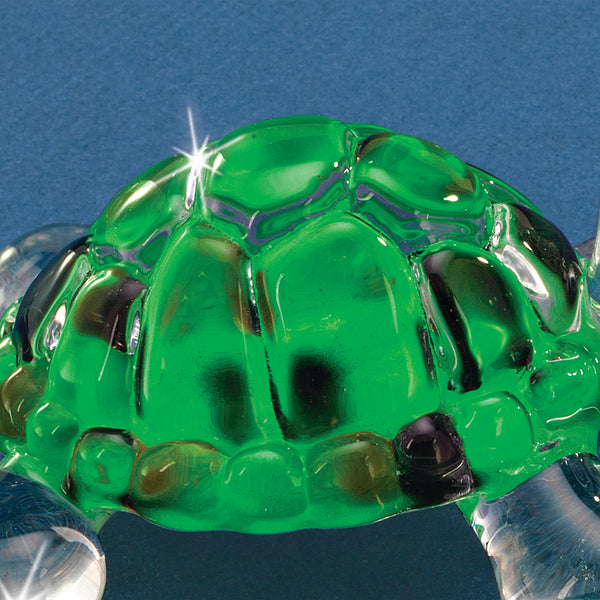 S0 254: Green Turtle