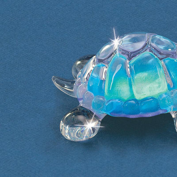 S0 254-B: Blue Turtle