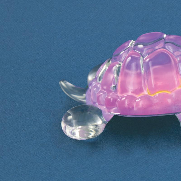 S0 254-K: Pink Turtle