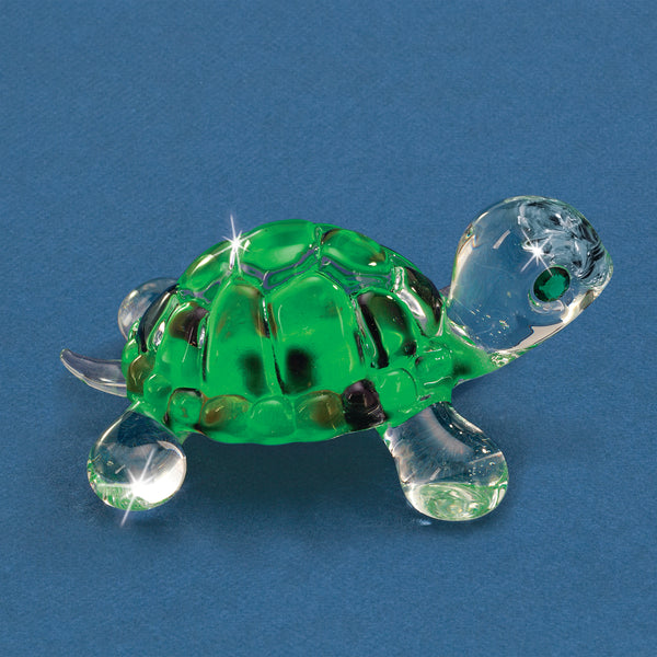S0 254: Green Turtle