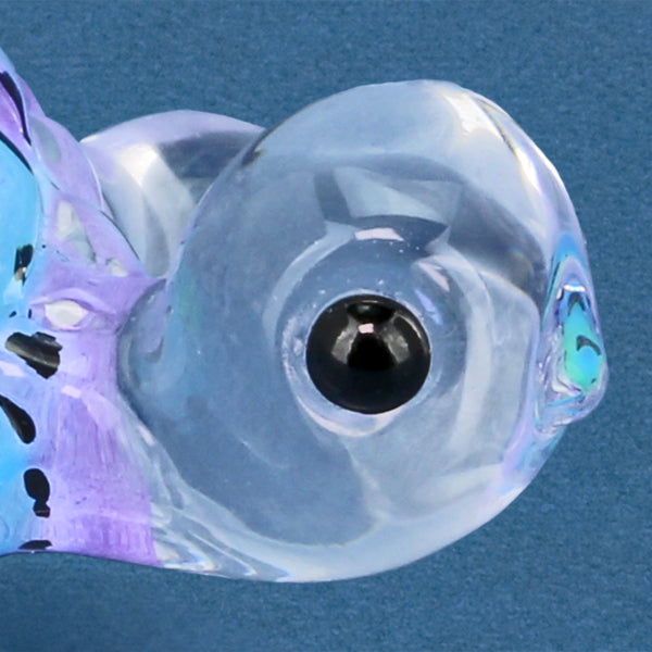 S1 255-BL: Blue Turtle