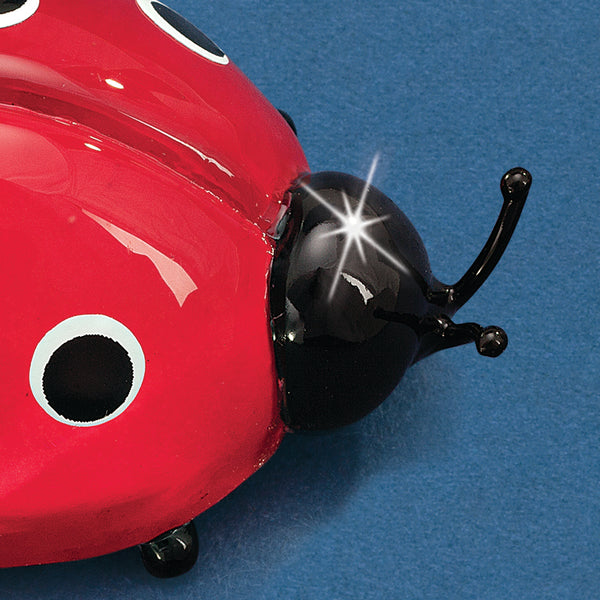 S1 315: Ladybug