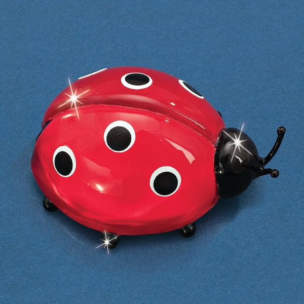 S1 315: Ladybug