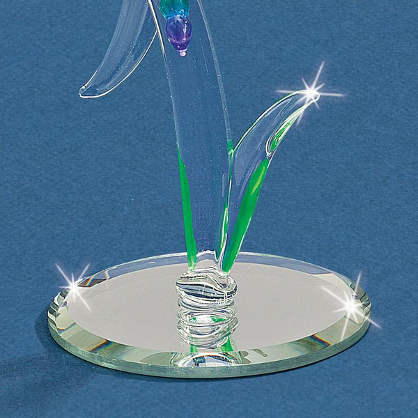 S1 344: Dragonfly
