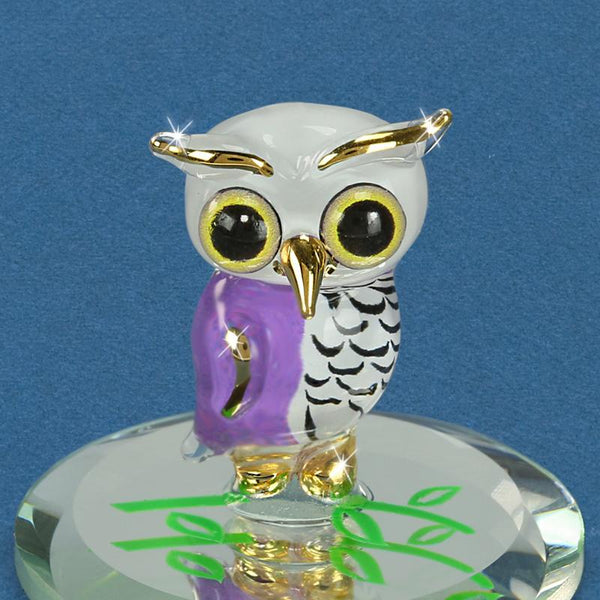 S1 354-SY: Snowy Owl