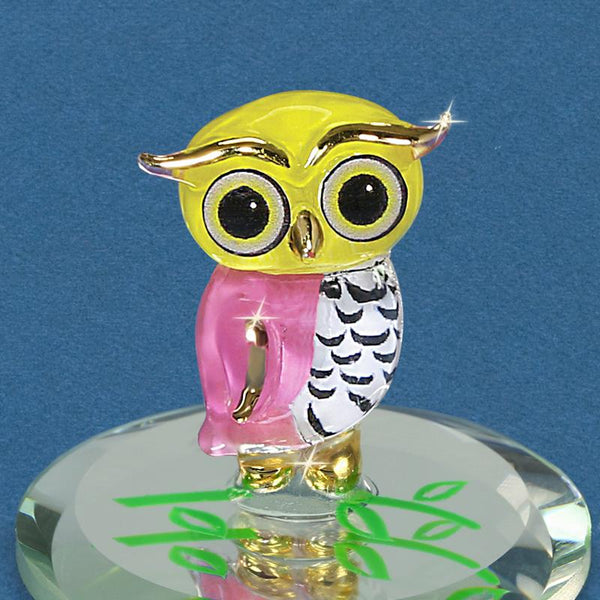 S1 354: Owlet