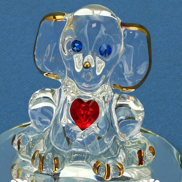 S2 117-RY: Dog, I Ruv You