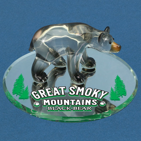 S2 148-S: Black Bear, Smoky Mountains