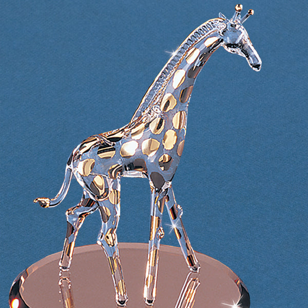 S2 183G-Y: Giraffe