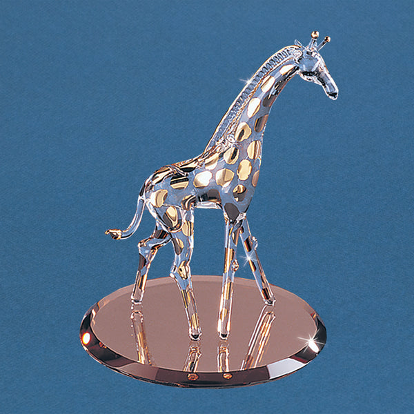 S2 183G-Y: Giraffe