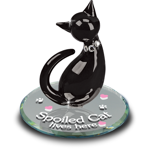 S2 214-SC: Spoiled Cat