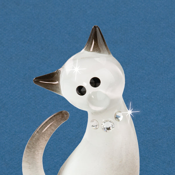 S2 214-SSM: Spoiled Siamese Cat