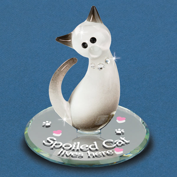 S2 214-SSM: Spoiled Siamese Cat