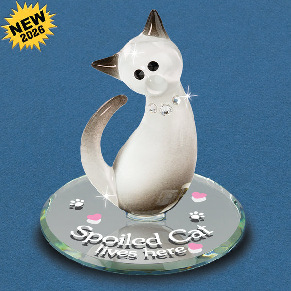 S2 214-SSM: Spoiled Siamese Cat