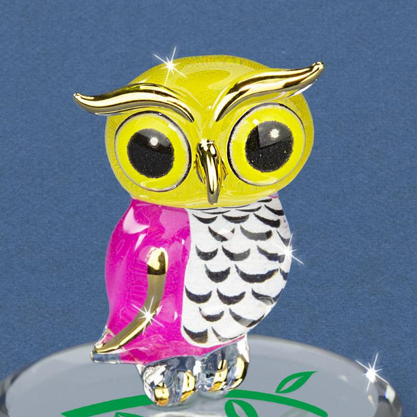 S2 354-BTT: Big Owlet