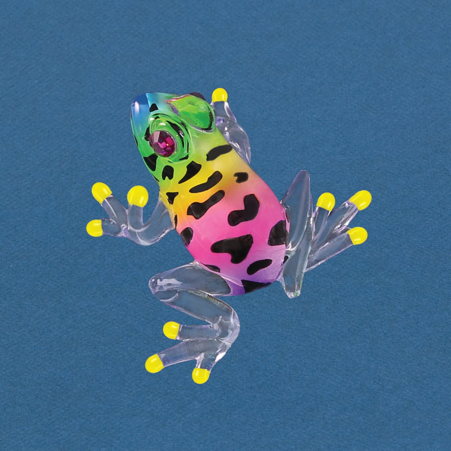 S2 218: Tropical Frog