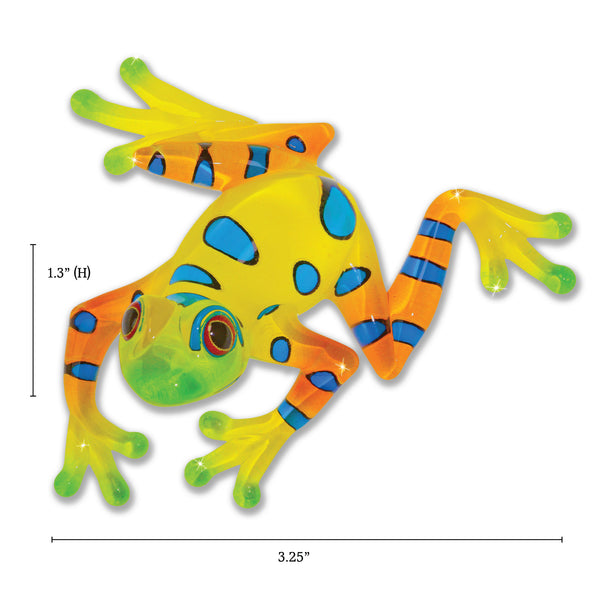S3 217-YN: Rain Forest Frog