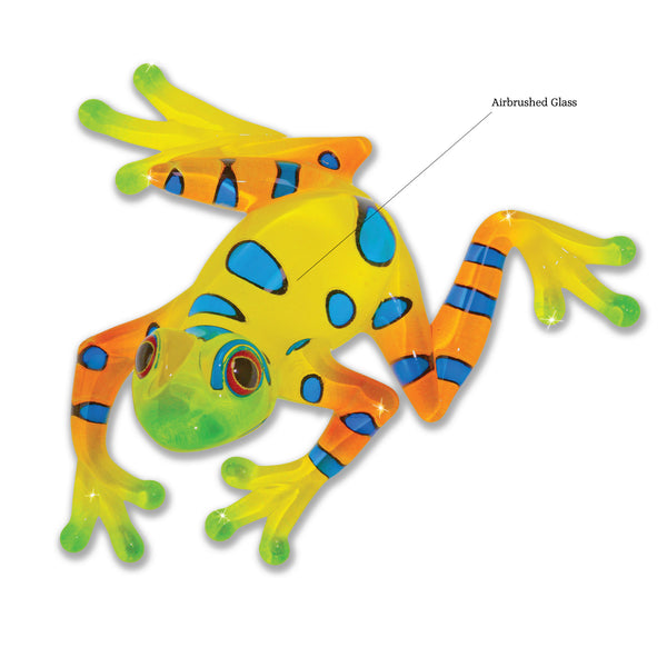 S3 217-YN: Rain Forest Frog