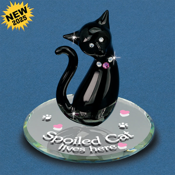 S3 214-SBC: Spoiled Cat (Large)