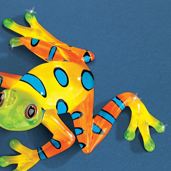 S3 217-YN: Rain Forest Frog