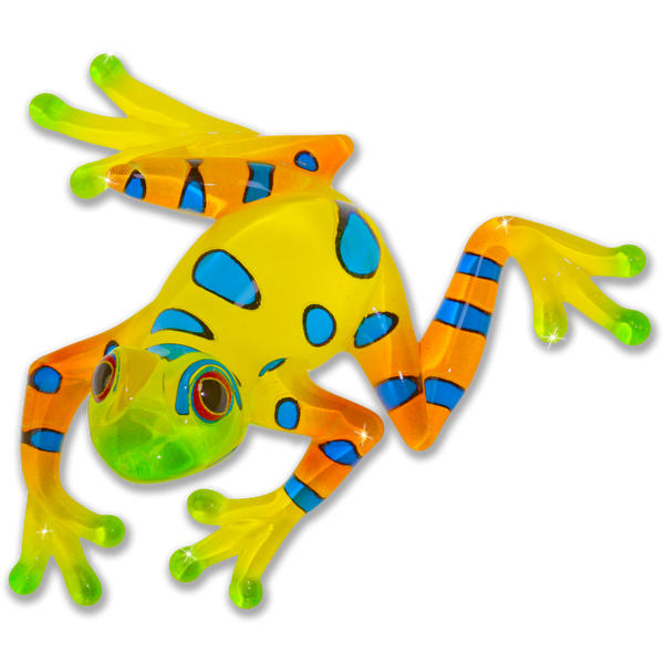S3 217-YN: Rain Forest Frog
