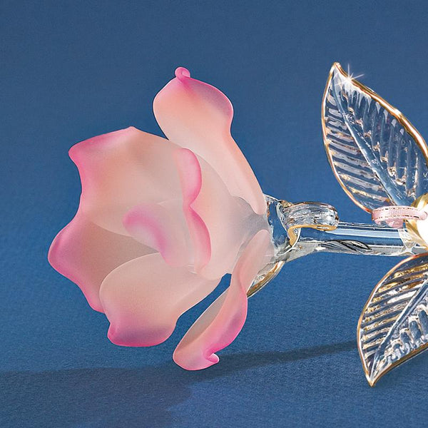 S6 423A: Peach Rose