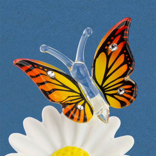 Butterfly, Daisy