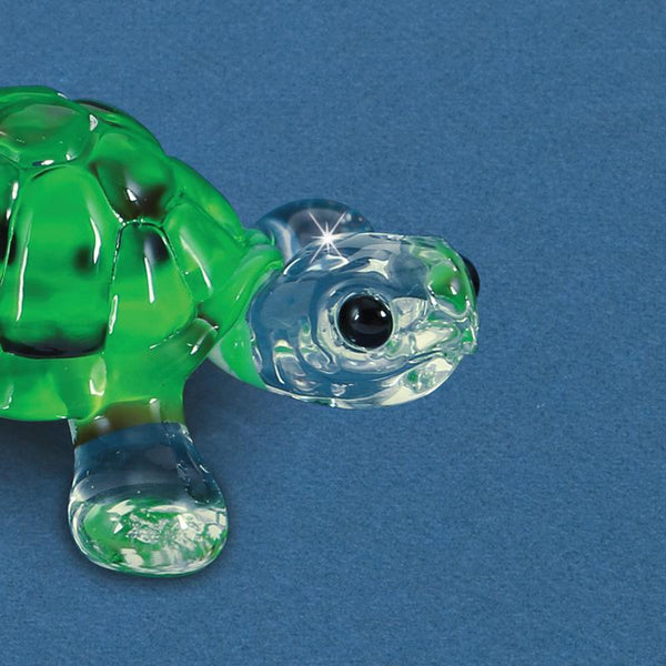 Green Turtle (Large)