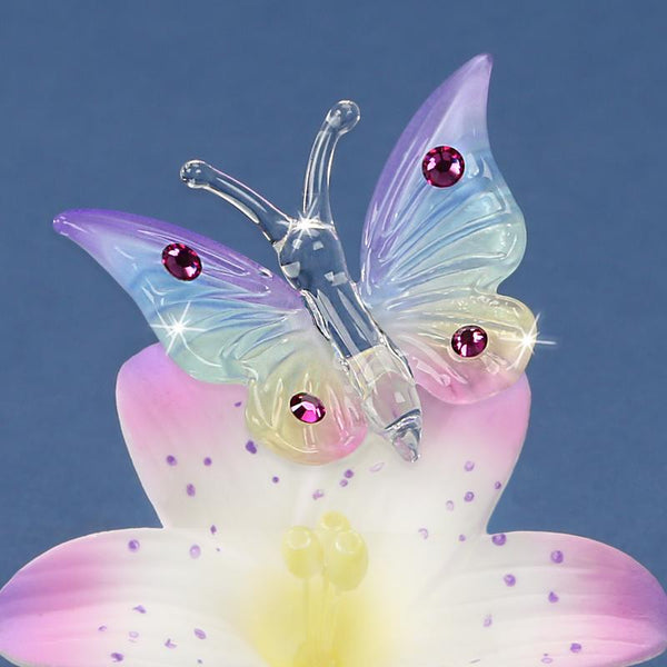 Butterfly on Lavender Lily