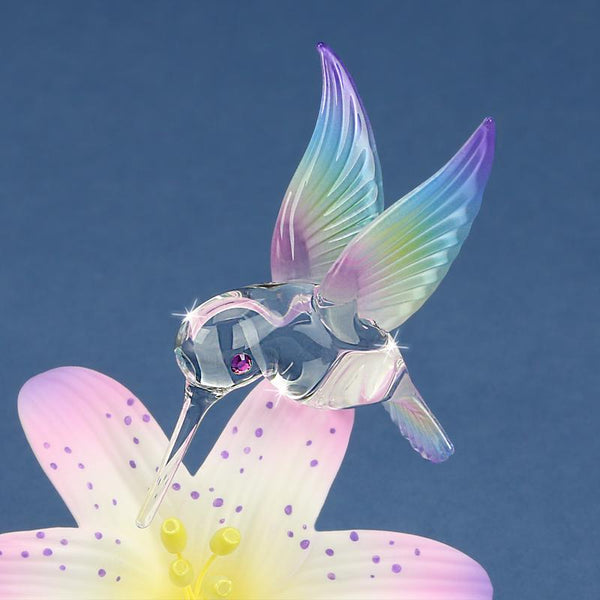 Hummingbird on Lavender Lily